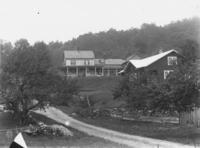 Two large, unidentified houses with stone wall and apple trees, Williamsville, Vt.