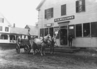 H.A.Williams Store with horse and cart out front, Williamsville, Vt.