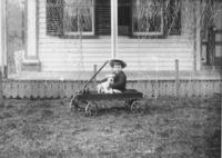 Small child in a wagon with a puppy
