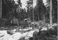 Men logging with Horse Team in the Woods, Newfane, Vt.