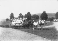 Twelve Women on a Parade Wagon, Newfane, Vt.