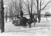 Mr. Allen standing on his sled loaded with logs, Wardsboro, Vt.