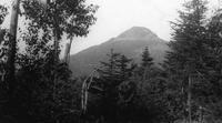Camel's Hump through the trees