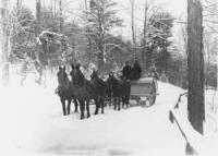 Team of horses pulling snow roller, Williamsville, Vt.