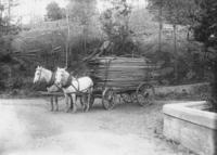 Wayne Ingram driving a wagon loaded with lumber, Williamsville, Vt.