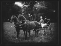 Portrait of a couple in a horse-drawn buggy, Williamsville, Vt.