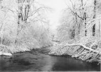 Stream and bridge at base of Baker Brook Farm, Williamsville, Vt.