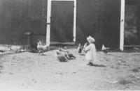 Marion Fairbanks feeding chickens at the C.K. Steadman place, Williamsville, Vt.