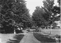 Unidentified Tree Lined Road, Marlboro, VT