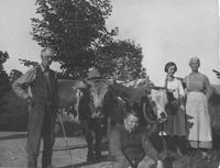 Mrs. Davis, unknown, oxen, Mr. Herr, and Mr. Henry                              Davis