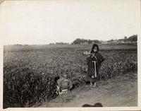 Rural children near a field